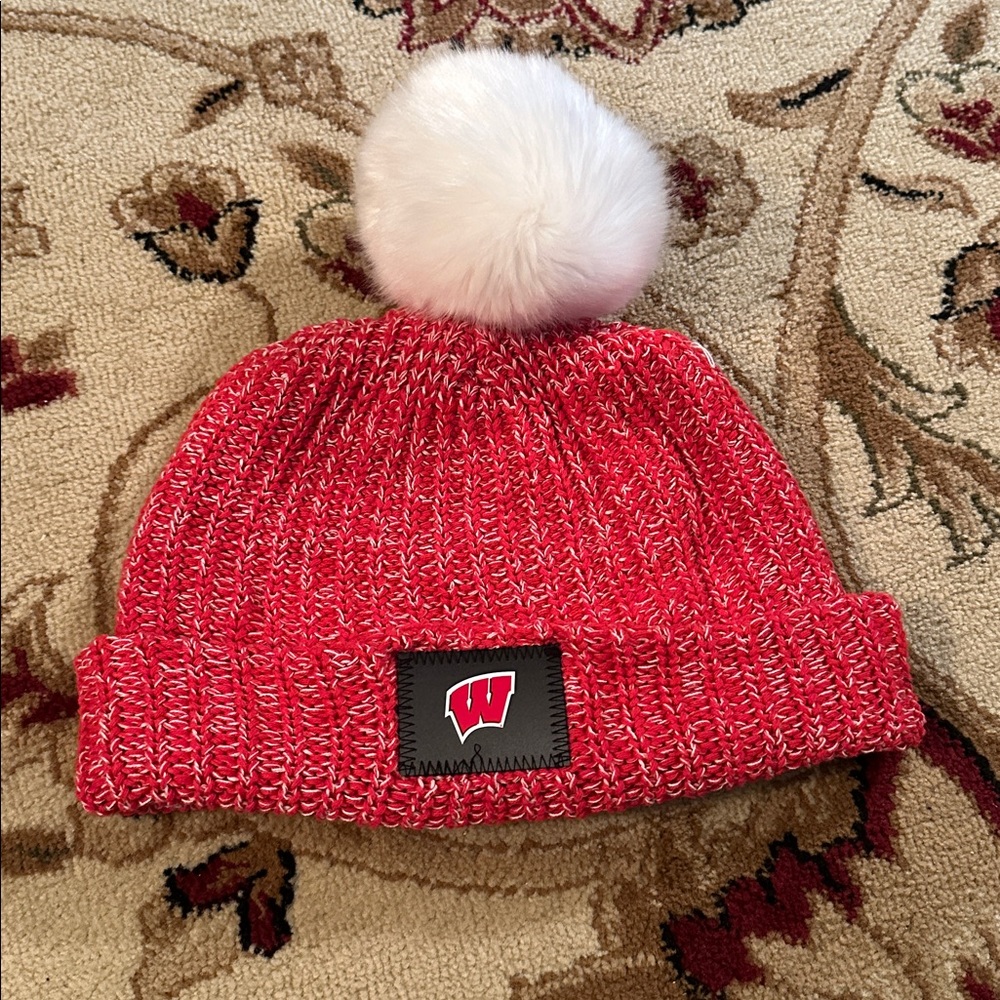 WI Badger Beanie